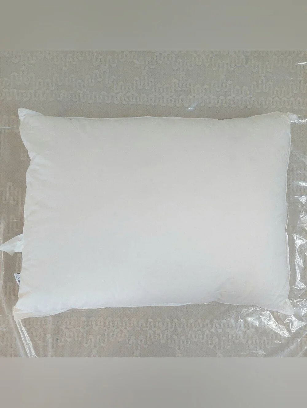NWOT- Quince Standard White Duck Down Premium Pillow (Soft)(P48)